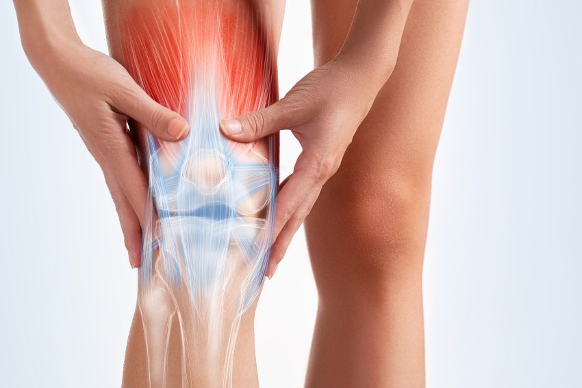 Pain-Free Knees Blueprint: A Physiotherapist’s Guide to Relief